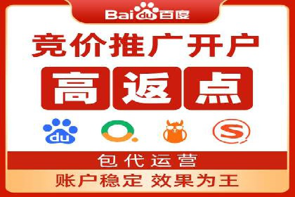 百度竞价赚钱技巧：案例分析